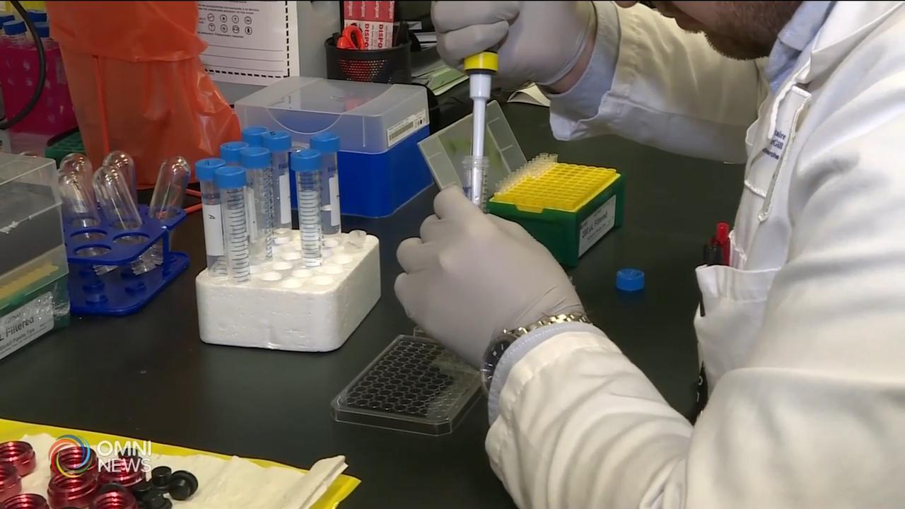 安省新增538宗確診個案 -- Oct 01, 2020 (ON)