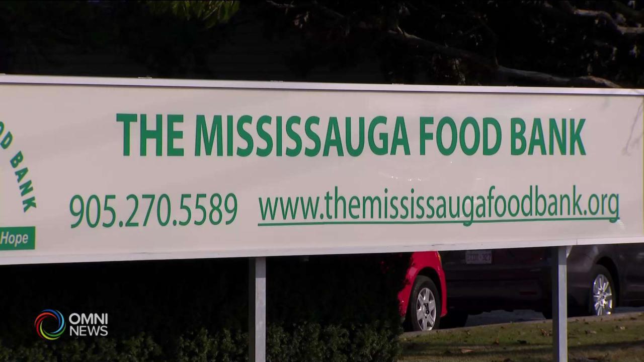 Mississauga collects donations for Thanksgiving food drive