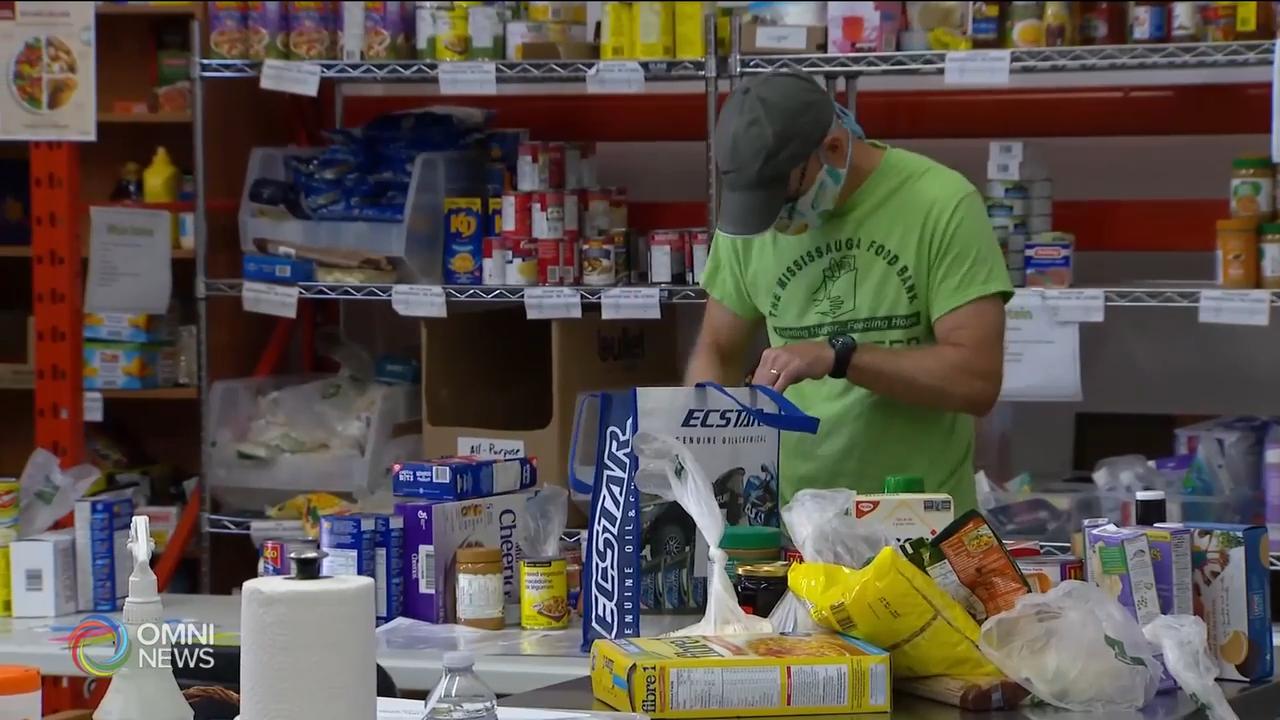 Mississauga Food Drive's Thanks Giving Plan