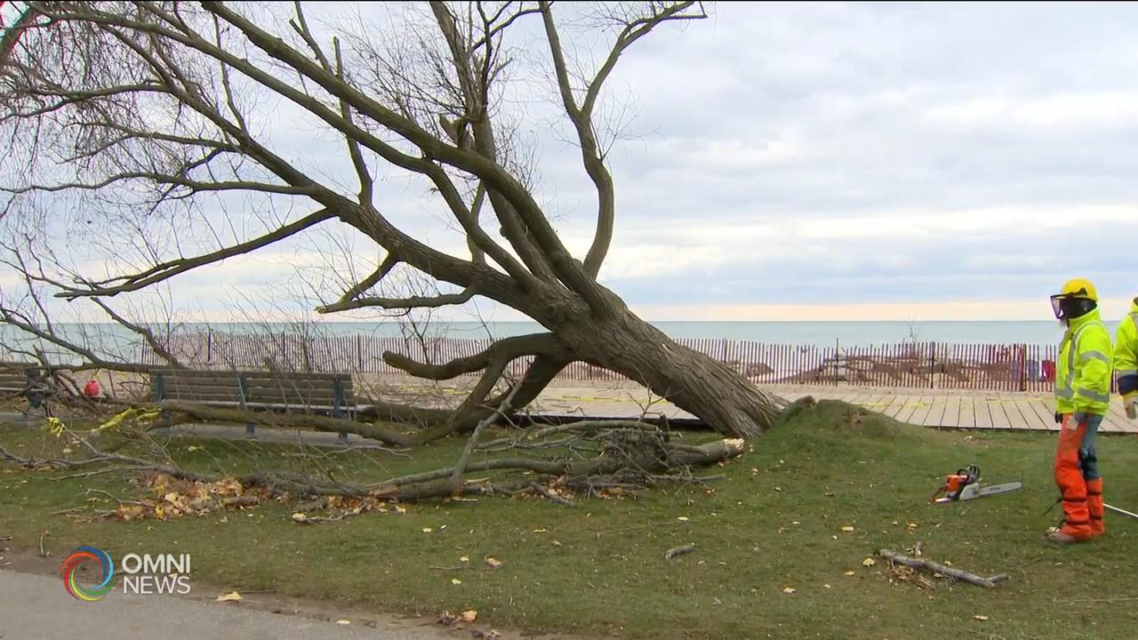 昨天狂風暴雨，令南安省超過20萬戶停電 -- Nov 16, 2020 (ON)