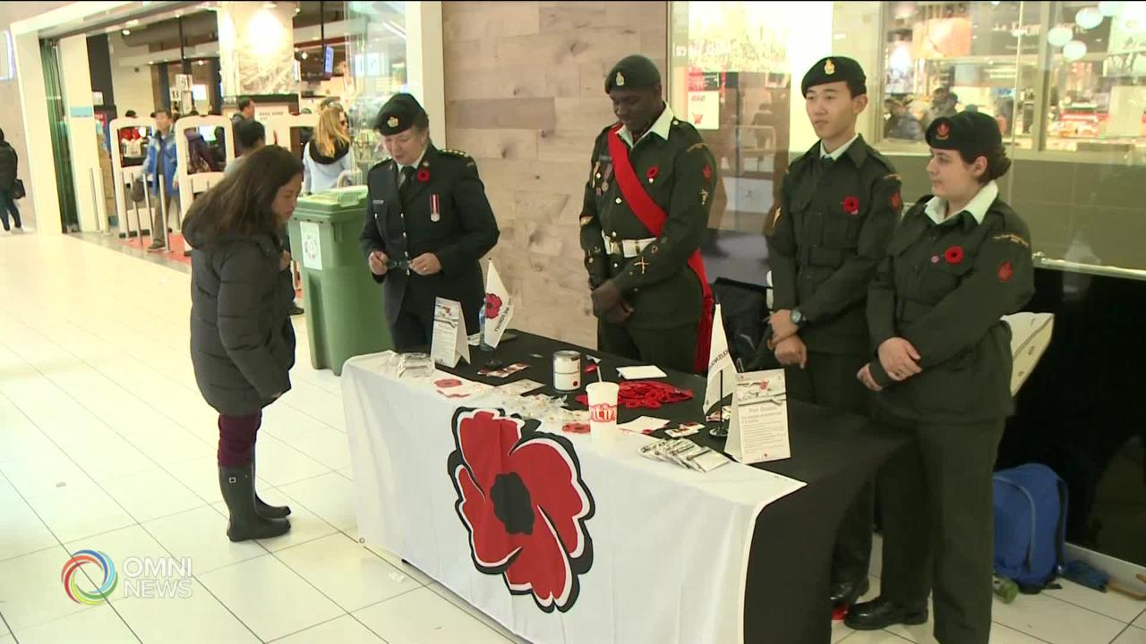 全新扫卡方式购买罂粟花纪念国殇日 -- Nov 04, 2020 (ON)