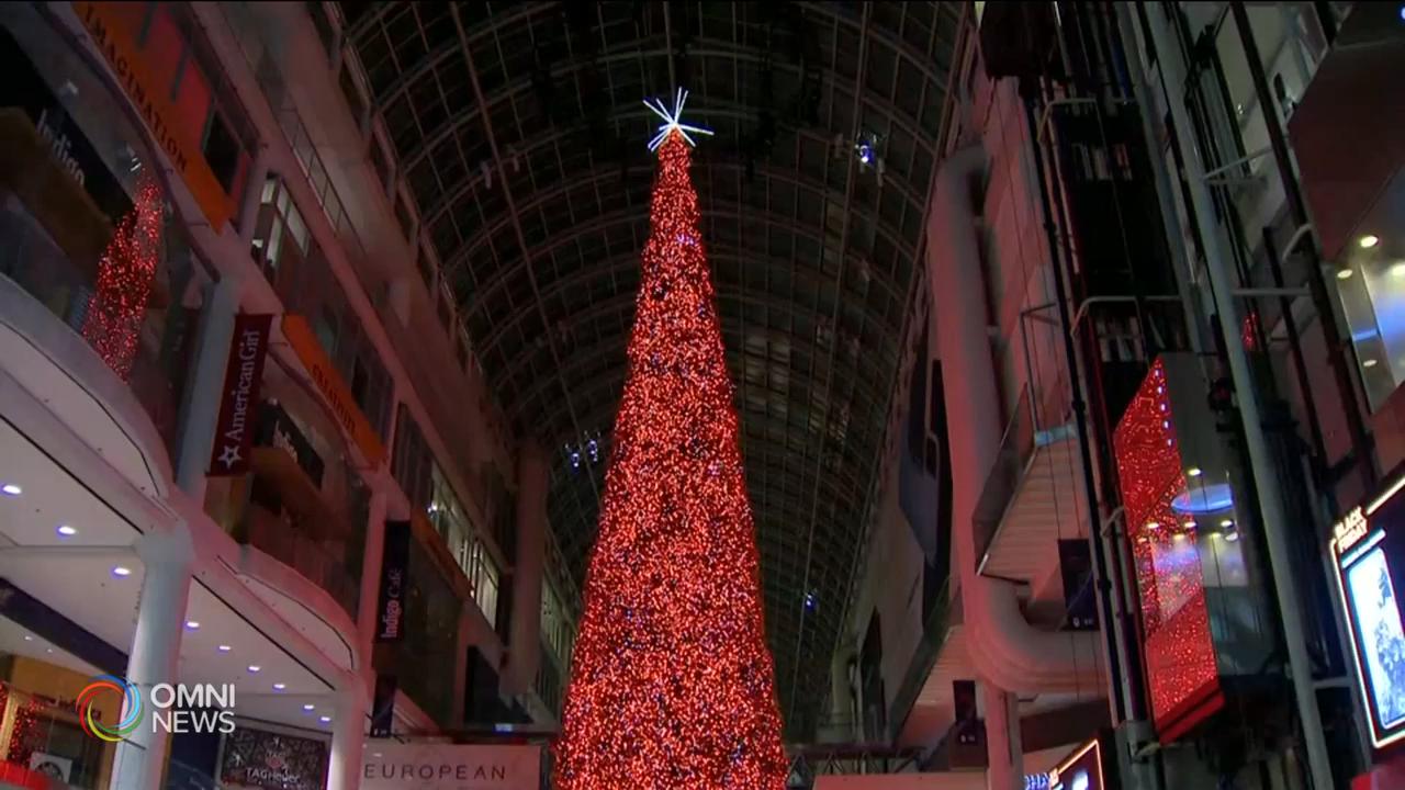 全國最高聖誕樹亮燈儀式不對外開放 -- Nov 19, 2020 (ON)