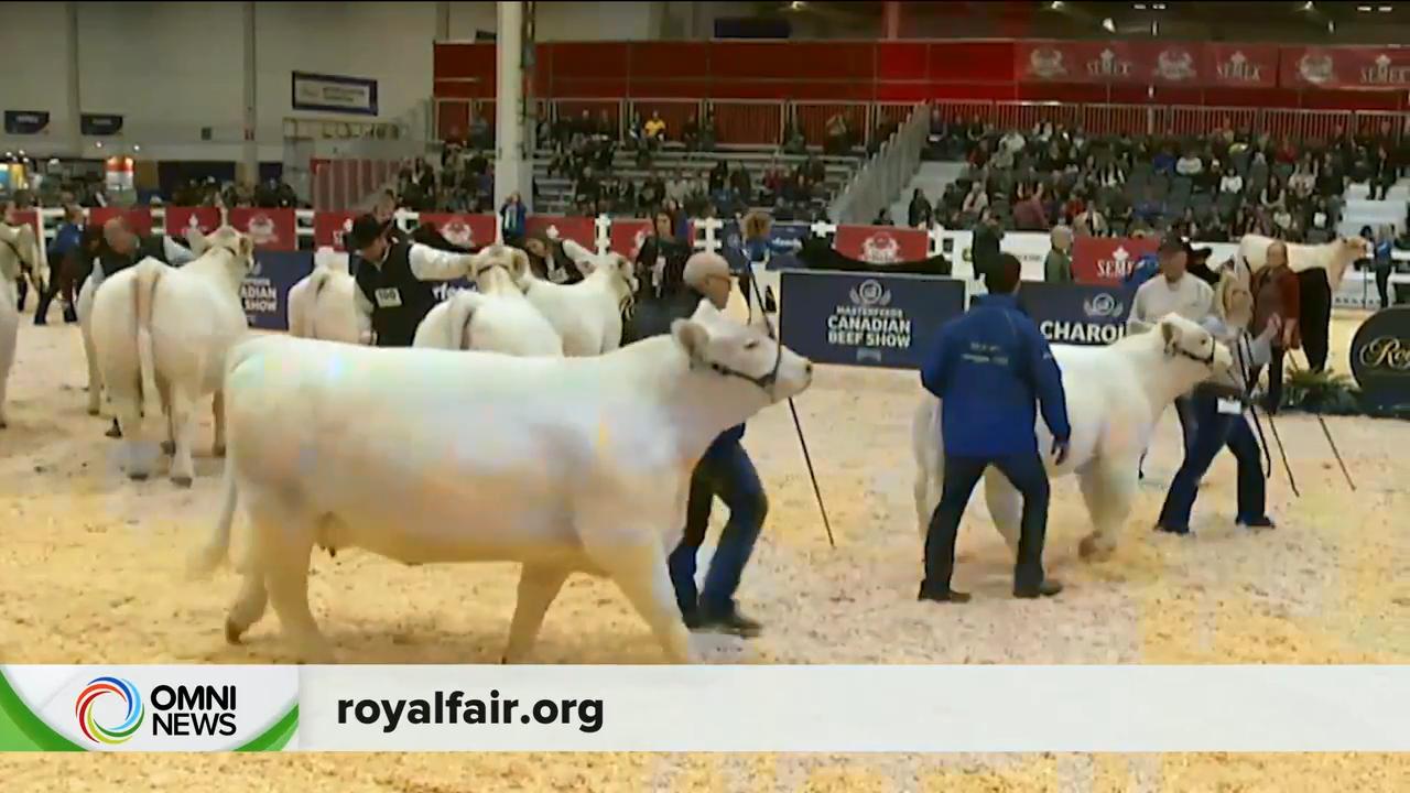 皇家冬季农业展改在网上举行 － Nov 10, 2020