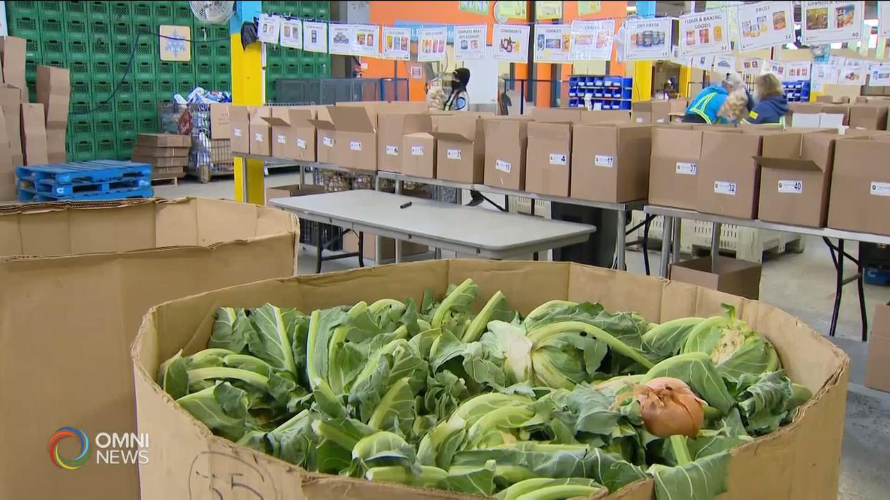 求助食物賙濟庫人數 達到金融海嘯水平 -- Nov 16, 2020 (ON)