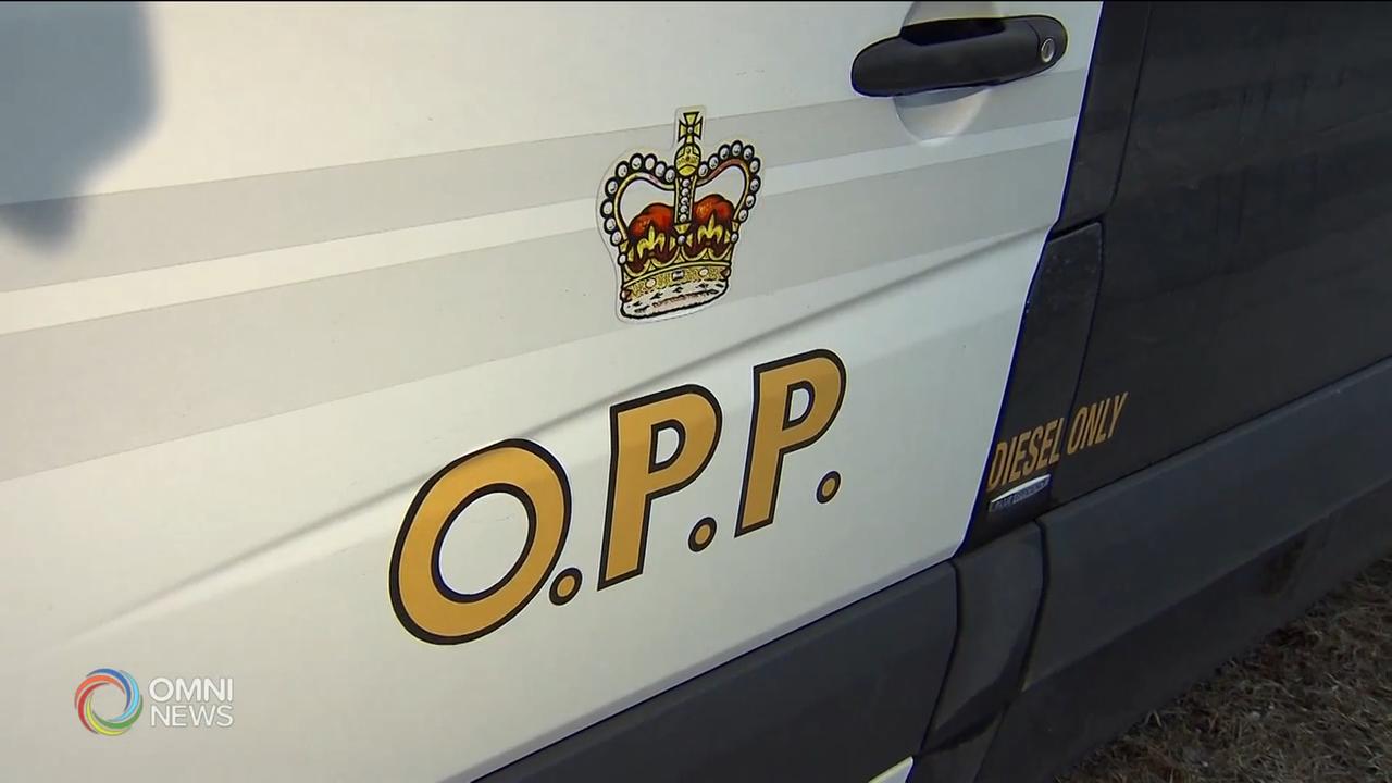 万锦市一私立学院涉嫌欺诈省府补助金－ Nov 18, 2020