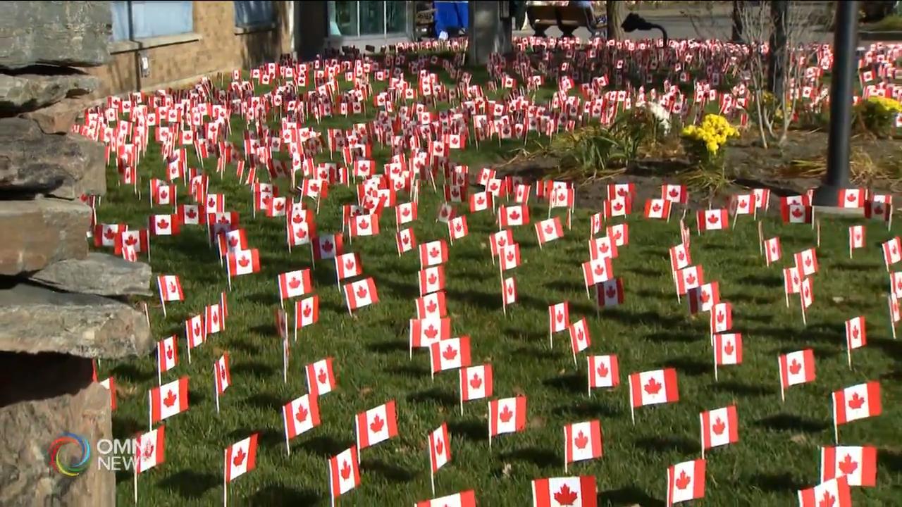 草坪插滿三萬多支小國旗向退伍軍人致敬 -- Nov 10, 2020 (ON)