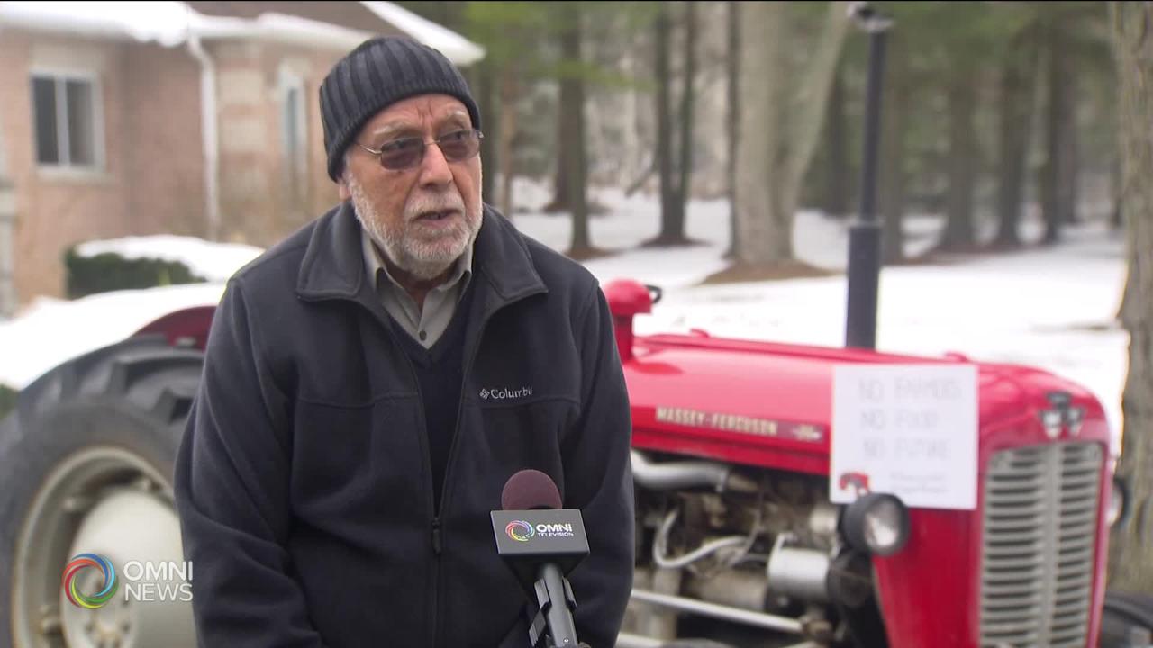 Connecting Canadian youth to farmer protests in India