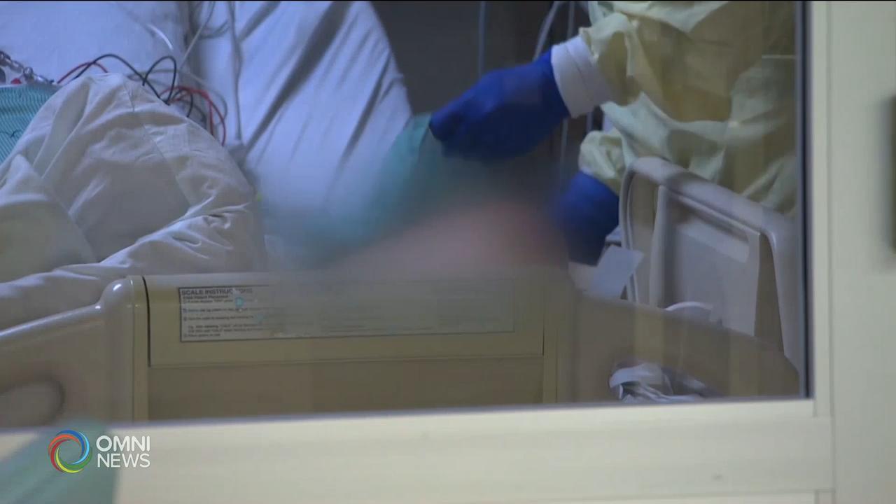 加拿大新冠肺炎疫情一周年－ Jan 25, 2021